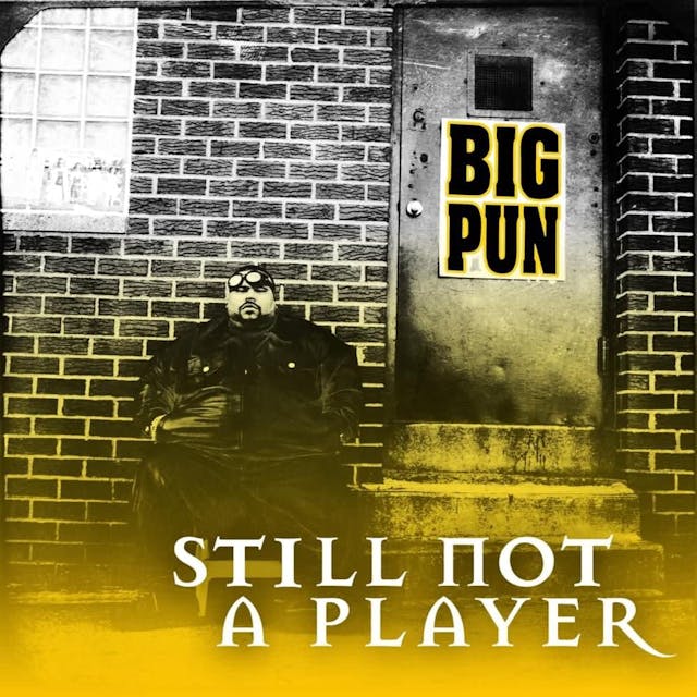 Cover art for Still Not a Player by Big Pun