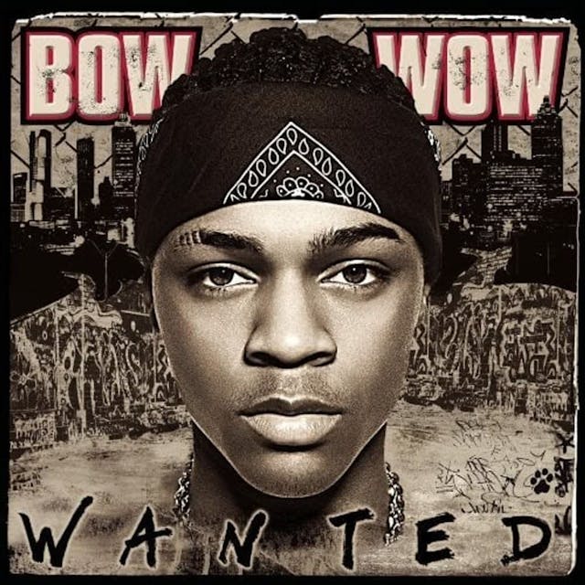 Cover art for Like You by Bow Wow